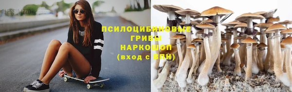 эйфоретик Баксан