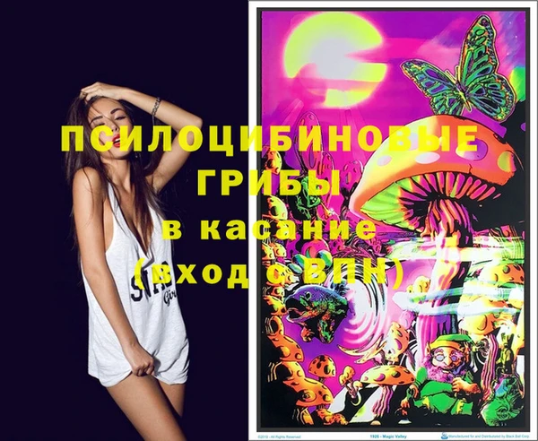 дурь Балахна